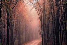 NBA季後(hòu)赛：库里超远三分改写战局