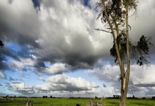 NBA 2K26评分對(duì)波特兰开拓者的致命误判！虚拟與(yǔ)现实的冲突