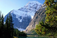 库里大腿：贬低湖人(rén)2020年总冠军的人(rén)，都没有过冠军！