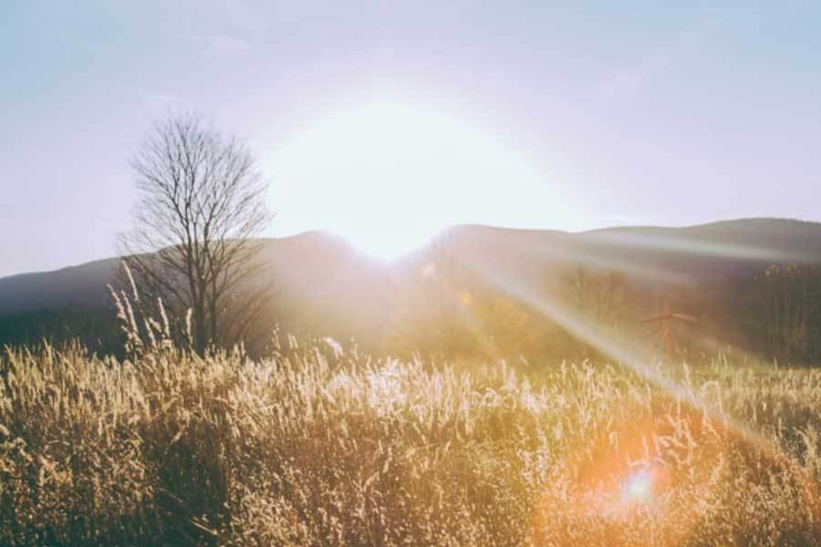 NBA全明星赛上演扣篮盛宴